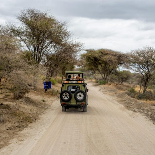 Safari w Kenii – Jak zaplanować wyjazd do Masai Mara, koszty i przemieniające przeżycie na całe życie