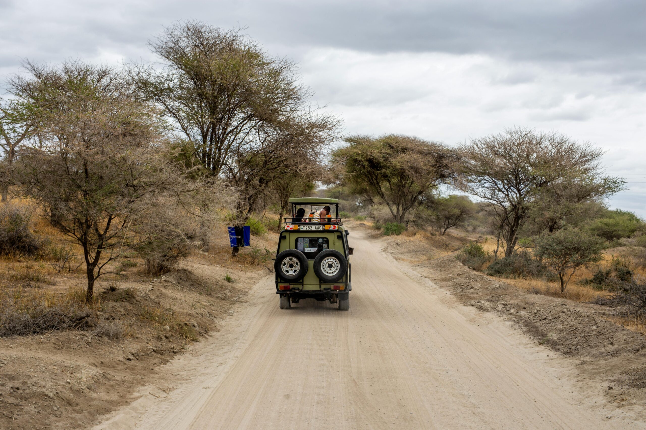 Safari w Kenii – Jak zaplanować wyjazd do Masai Mara, koszty i przemieniające przeżycie na całe życie
