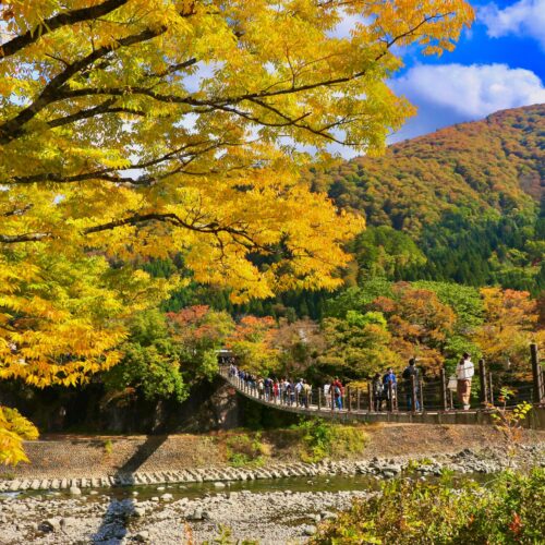 Japonia poza utartym szlakiem – Odkryj Kioto, Narę i ukryte wioski, które zachwycają bardziej niż Tokio